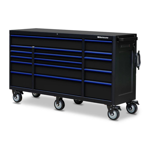 46 In. X 24 In. 11-Drawer Roller Cabinet Tool Chest with Power and USB Outlets in Black and Blue